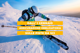 assicurazione neve orizzontale