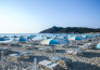 Limone Beach Resort   Castiadas   22