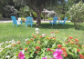 hotel parco delle rose   terme luigiane 02