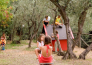 il paese di ciribi   ceriale 08