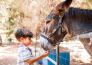 14 HAPPY CAMP   EL BAHIRA CAMPING VILLAGE  SAN VITO LO CAPO