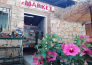15 HAPPY CAMP   EL BAHIRA CAMPING VILLAGE  SAN VITO LO CAPO