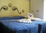 Hotel Holiday   Cattolica   10
