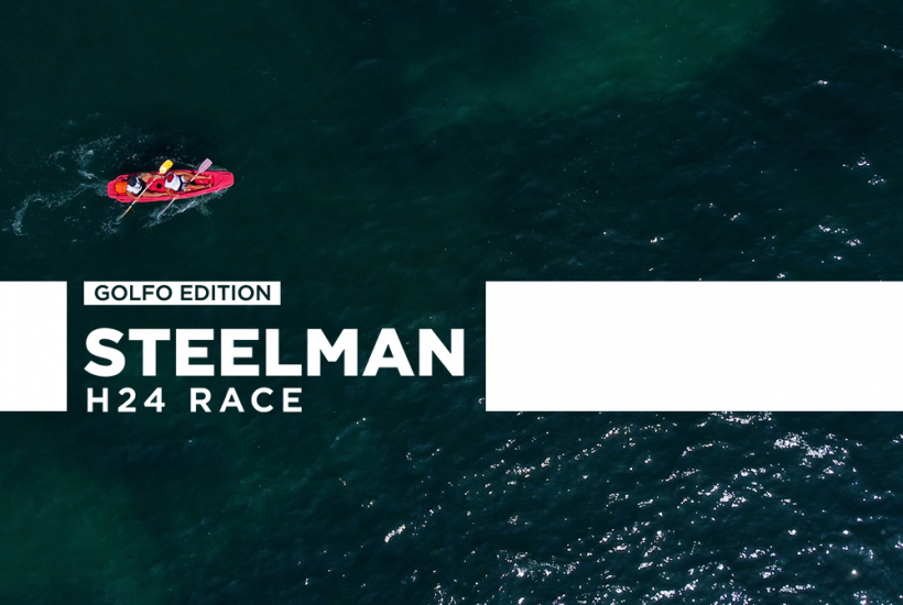 steelman 00