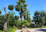 Villaggio Uliveto   Rodi Garganico 15