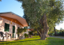 Villaggio Uliveto   Rodi Garganico 18