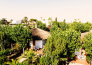 Villaggio African Beach   Manfredonia   38