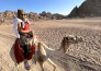 royal regency   sharm 29