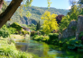 ninfa   00