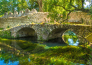 ninfa   02