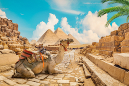 5 CAIRO   SHARM EL SHEIKH