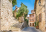 Todi, Cortona, Castiglione del Lago, Monte Del Lago, Corciano   14