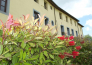 residence giuly rosselmini   pieve di santa luce 17