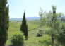 residence giuly rosselmini   pieve di santa luce 18
