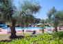 10 PARCO DEGLI ULIVI   PESCHICI
