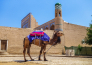15 TOUR UZBEKISTAN