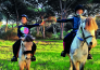horse country resort congress & spa   arborea   26