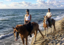 horse country resort congress & spa   arborea   39