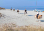 horse country resort congress & spa   arborea   40