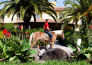 horse country resort congress & spa   arborea   41