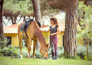 horse country resort congress & spa   arborea   47