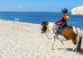 horse country resort congress & spa   arborea   48