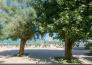 Grand Hotel Adriatico 20   Montasilvano