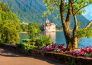 7 TOUR LAGO DI GINEVRA, MONTE BIANCO E LIONE
