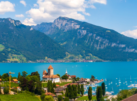 8 TOUR LAGO DI GINEVRA, MONTE BIANCO E LIONE