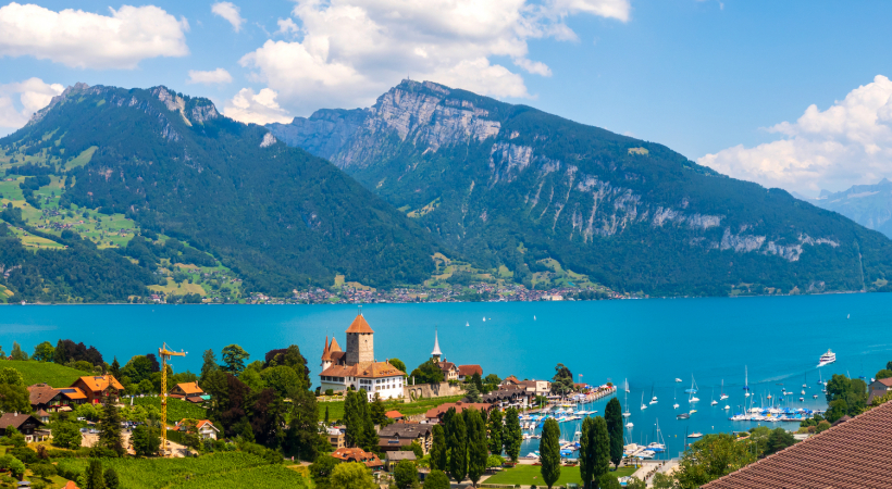 8 TOUR LAGO DI GINEVRA, MONTE BIANCO E LIONE