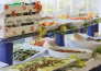 hotel family hotel marina beach   lido adriano   16