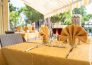 11 HOTEL SAYONARA   MILANO MARITTIMA