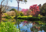 4 NINFA   NORMA E ABBAZIA DI VALVISCIOLO