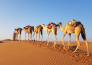 5 TOUR DELL OMAN