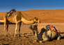 6 TOUR DELL OMAN