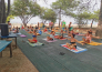 5 Villaggio Camping Pineta di Sibari   Cassano allo ionio